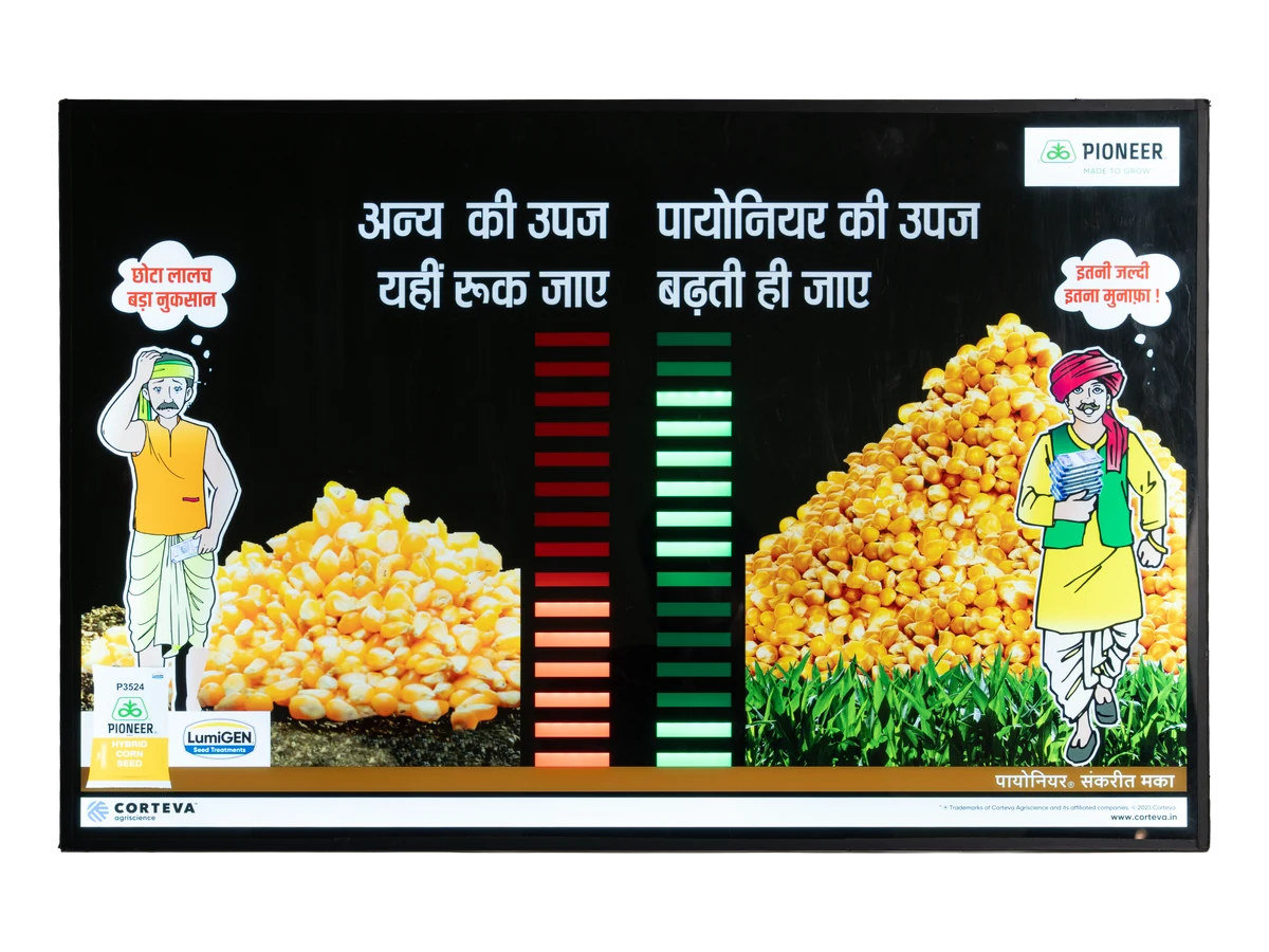 Landscape campaign graphic presented in a dark rectangular display frame.